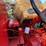 case-900-wheatland-propane-tractor-image-31