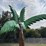 #34-•-metal-art---palm-tree---approx:-6ft-image-2