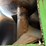 2012-j&m-1051-grain-storm-grain-cart-1-owner-image-65