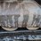 takeuchi-tl12r2-image-15