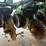 1991-john-deere-1530-image-34