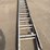 30ft-extension-ladder-image-4