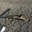 #37-•-snap-up-lever-for-trailer-hitch-image-2