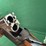 ithaca-mdl.500-12ga-o/u-shotgun-image-19