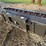 paladin-86”-wide-skidloader-packer-image-4