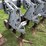 hiniker-8row-3pt-field-cultivator-image-5