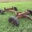 5-bolt-running-gear-image-2