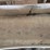 hastings-galvanized-water-tank-image-2