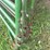3-14’-cattle-gates-image-8