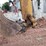 2016-caterpillar-430f2-it-image-34