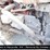 2016-international-prostar-image-6