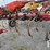 case-ih-4500-image-2