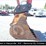 2002-linkbelt-3400-image-7