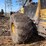 2011-tigercat-635d-image-5