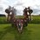 sunflower-disc-21ft.-image-2