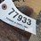 international-75-image-2