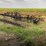 landoll-15'-till-all-8109-image-2