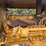 caterpillar-12-image-26
