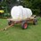 725-gallon-nurse-tank-on-ac-wagon-gear-image-1