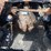 2019-peterbilt-389-image-10