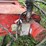 westfield-drill-fill-image-6
