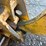 new-holland-190-image-15