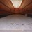 2004-great-dane-van-image-17