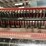 #138-•-2022-meadows-deluxe-4”-board-edger-image-19