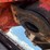 #1612-•-20'-hydraulic-pull-type-snowmobile-trail-groomer-/-snow-grooming-drag-image-13