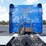 2019-peterbilt-389-image-11