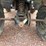 polaris-sportsman-image-22