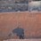 allis-chalmers-8030-image-30