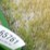 1982-john-deere-643-image-2