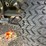 john-deere-gator-image-17