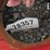 massey-ferguson-550-image-2
