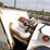 2015-freightliner-114sd-image-50