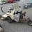 grasshopper-616-image-8