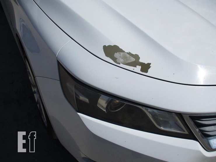 2019-chevrolet-impala-ls-image-14