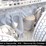 2016-international-prostar-image-30