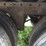 2012-great-dane-van-image-10