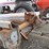 new-idea-3609-image-2