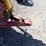 hardi-500-image-5