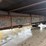 #1665-•-2008-international-navistar-box-truck-image-59
