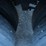 2017-great-dane-multi-temp-image-15