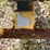 2020-3in.-portable-trash-pump-image-27
