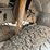 1999-ford-f350-image-19