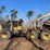 2011-tigercat-635d-image-2