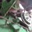 1991-john-deere-9500-image-34