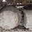 2017-caterpillar-315fl-image-55