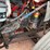 international-prostar-image-45